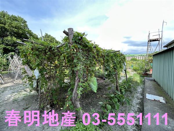 新竹東區農地-6