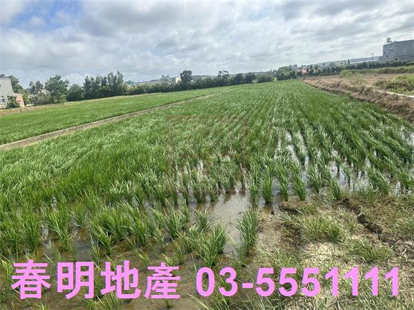 新竹新豐農地-0