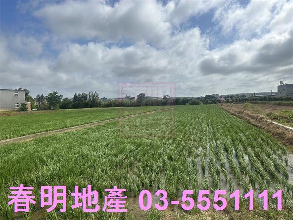 新竹新豐農地-1