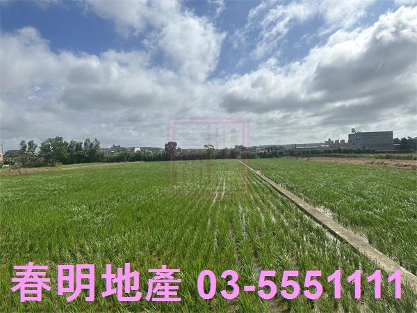 新竹新豐農地-3