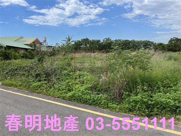 新竹農地-3