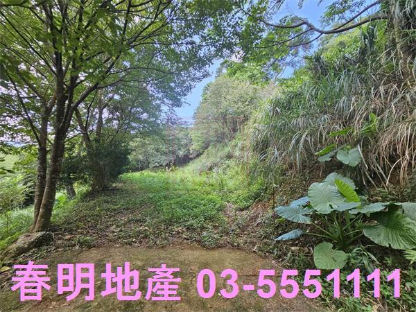 新竹橫山農地-1