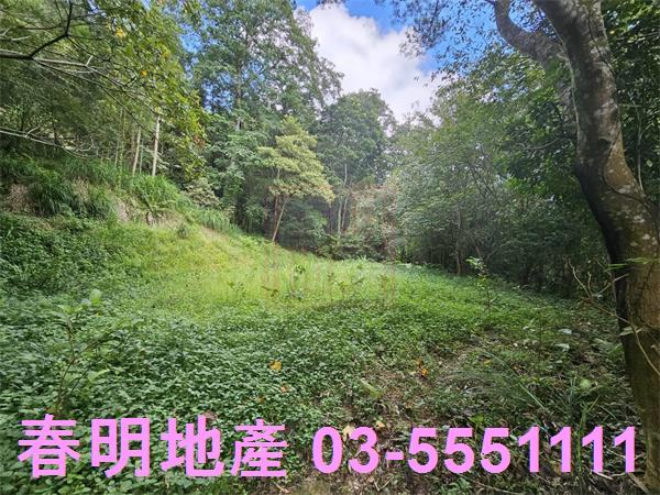 新竹橫山農地-2