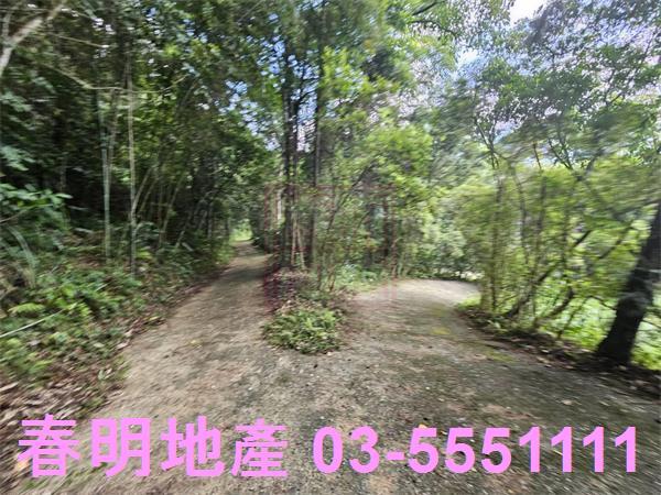 新竹橫山農地-3