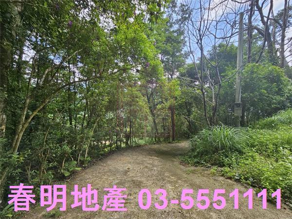 新竹橫山農地-4