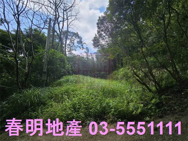 新竹橫山農地-5