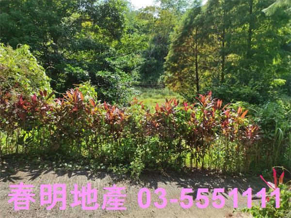 新竹竹東農地-10