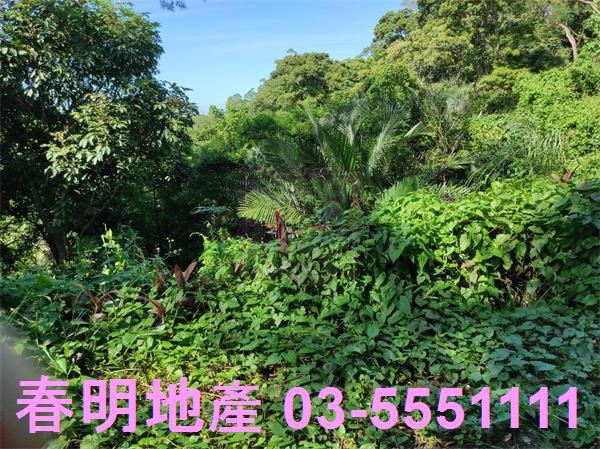 新竹竹東農地-11