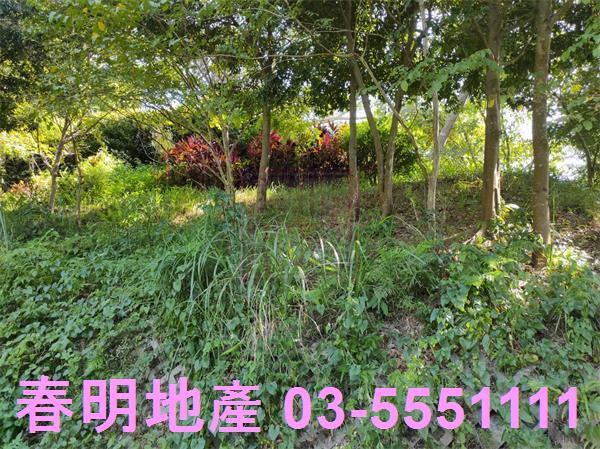 新竹竹東農地-12