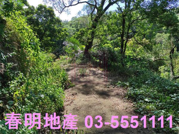 新竹竹東農地-13