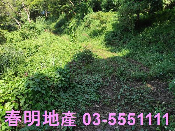 新竹竹東農地-14
