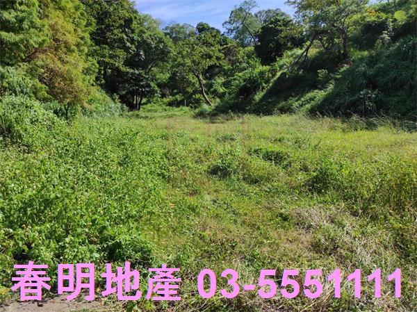 新竹竹東農地-0