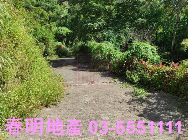 新竹竹東農地-1