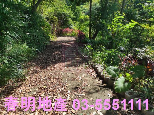 新竹竹東農地-2