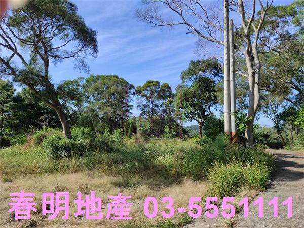 新竹竹東農地-3