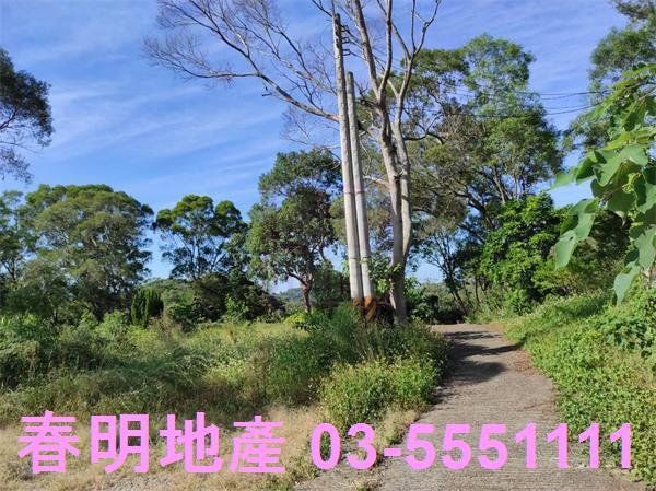 新竹竹東農地-4