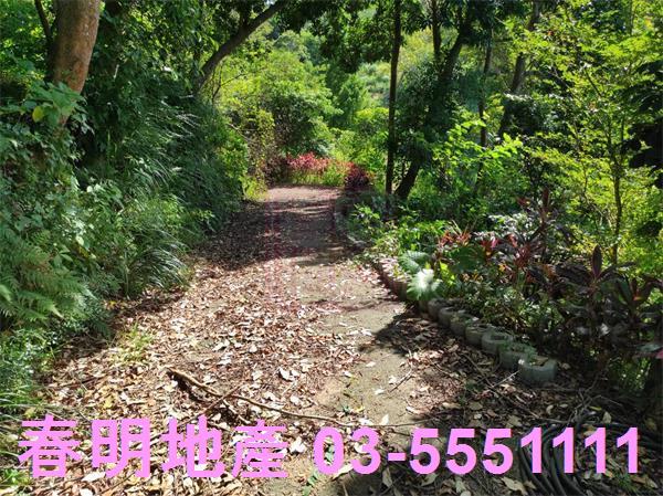新竹竹東農地-5