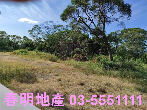 新竹竹東農地-7