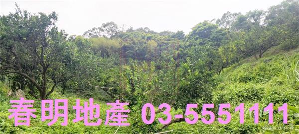 寶山農地-9