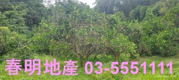 寶山農地-10