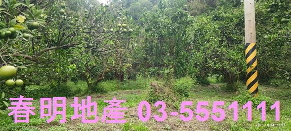 寶山農地-12