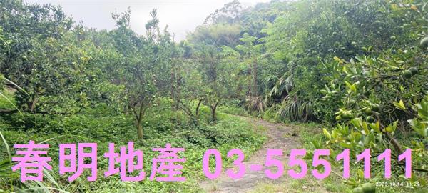 寶山農地-1
