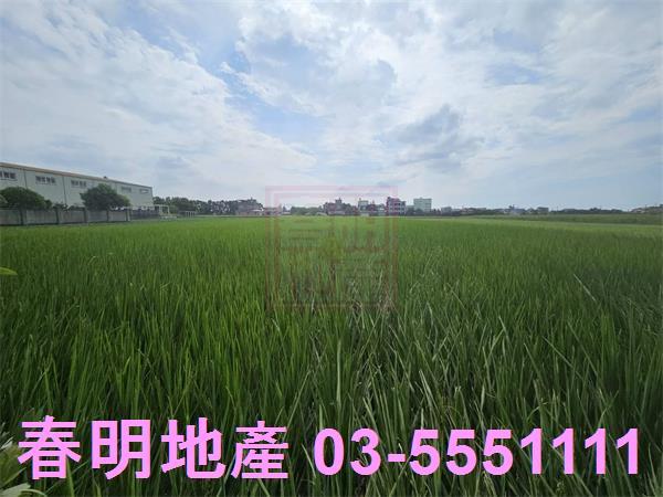 新竹農地-1