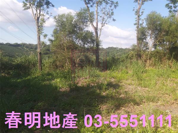 新竹寶山農地-11