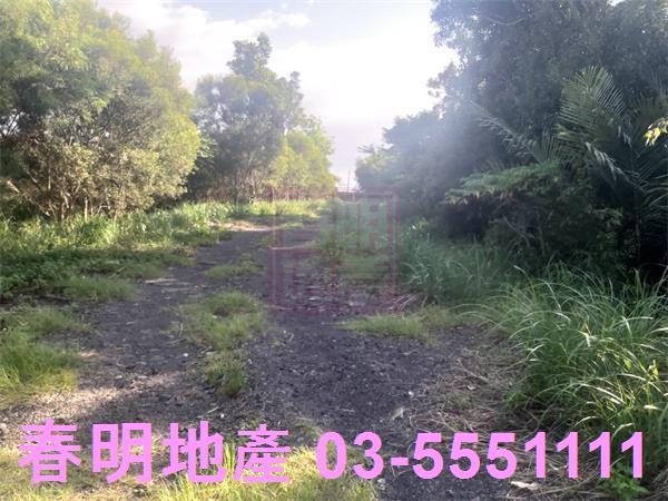 新竹寶山農地-2