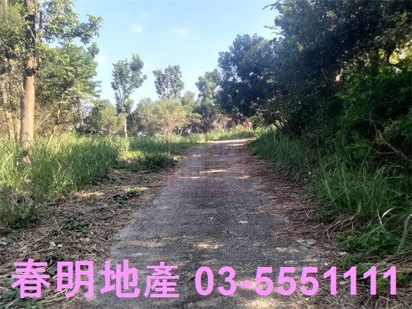 新竹寶山農地-5