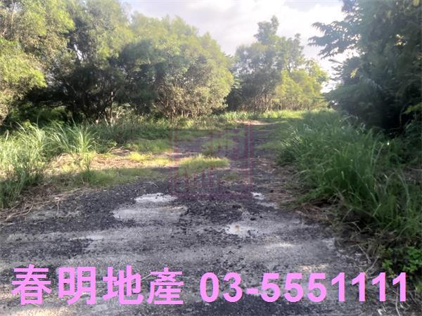 新竹寶山農地-6