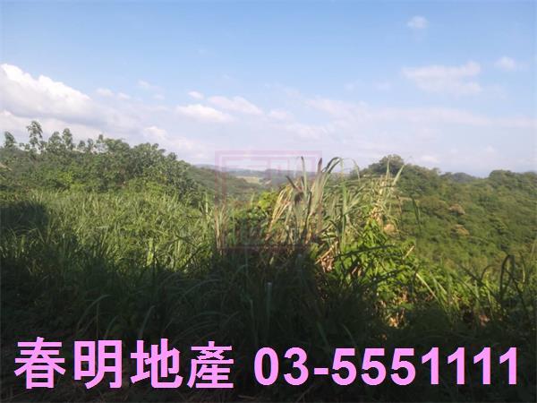新竹寶山農地-7