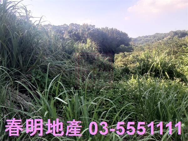 新竹寶山農地-8