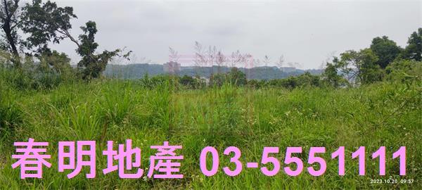 東區休閒地-10