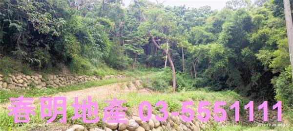 東區休閒地-0