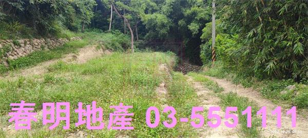 東區休閒地-2