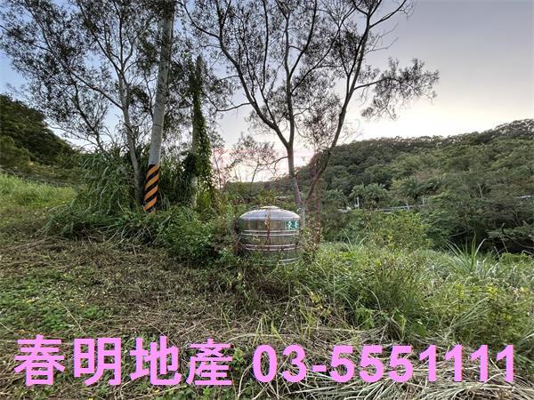 新竹竹東農地-0