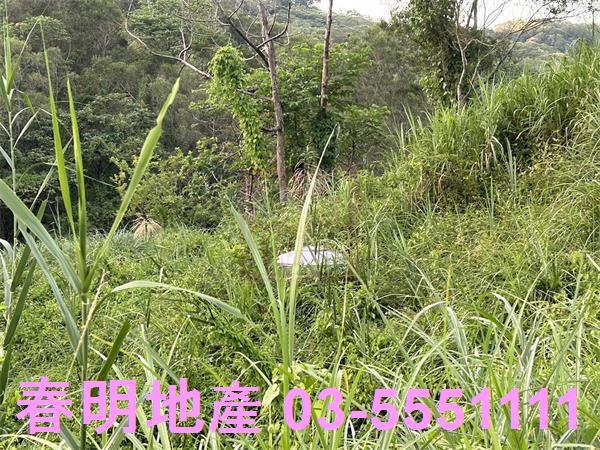 新竹竹東農地-4
