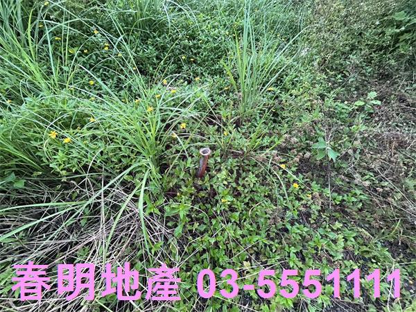 新竹竹東農地-5