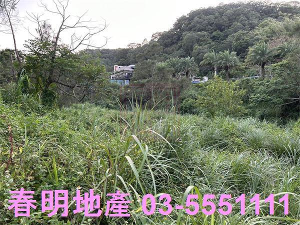 新竹竹東農地-6