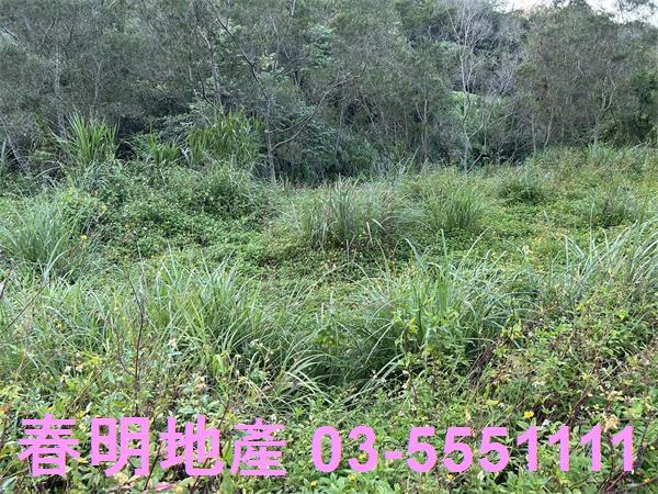 新竹竹東農地-7