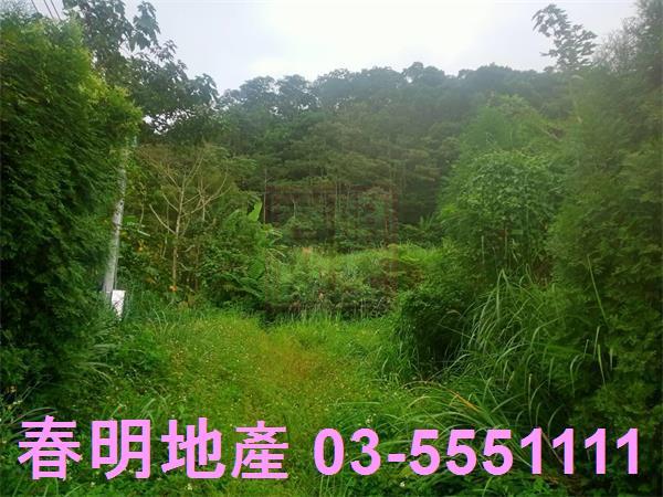 新竹橫山山坡地-3
