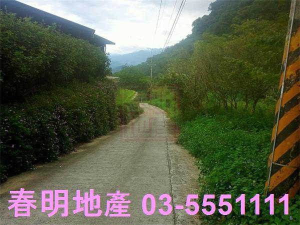 新竹橫山山坡地-4