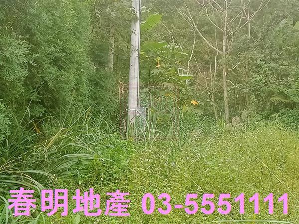 新竹橫山山坡地-6