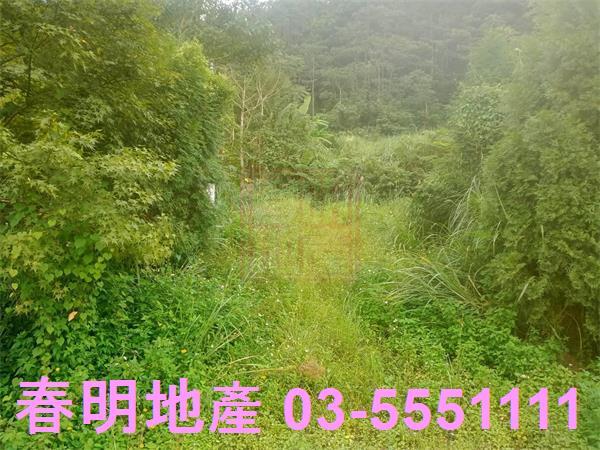 新竹橫山山坡地-7