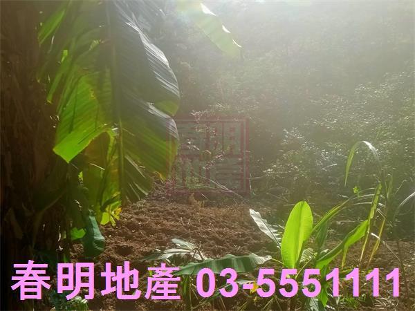 北埔農地-9