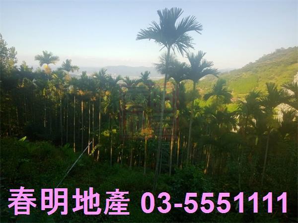 北埔農地-10