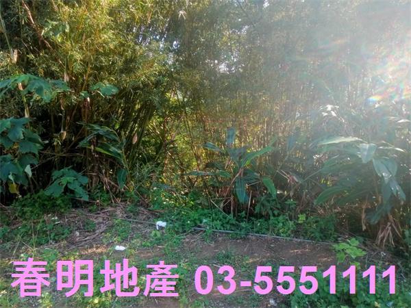 北埔農地-11