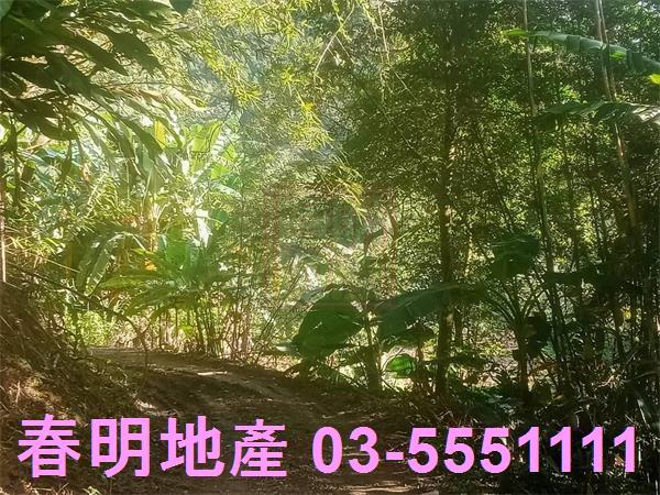 北埔農地-0