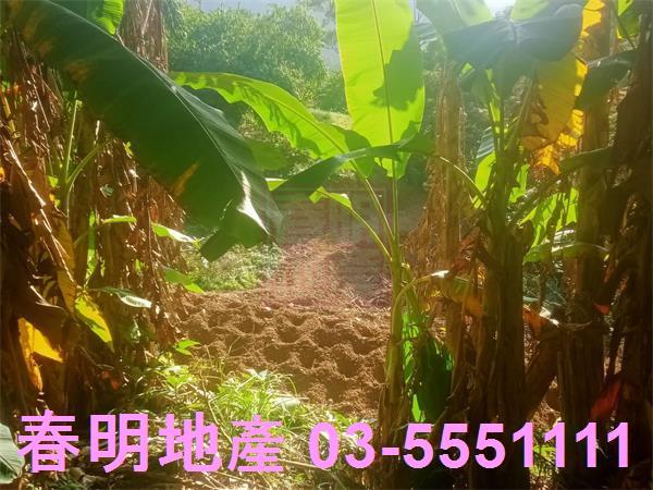 北埔農地-3